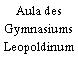 Aula des Gymnasiums Leopoldinum