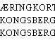 SÆRINGKORT, KONGSBERG