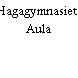 Hagagymnasiets Aula