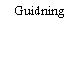 Guidning