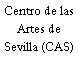 Centro de las Artes de Sevilla (CAS)