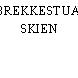 BREKKESTUA, SKIEN