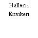 Hallen i Enviken