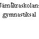 Järnåkraskolans gymnastiksal