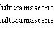 Kulturamascenen