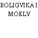 BOLIGVIKA I MOELV