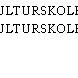 KULTURSKOLEN