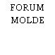FORUM MOLDE