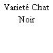 Varieté Chat Noir