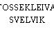 FOSSEKLEIVA, SVELVIK