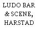 LUDO BAR & SCENE, HARSTAD