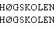 HØGSKOLEN
