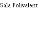 Sala Polivalent