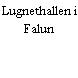 Lugnethallen i Falun