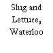 Slug and Lettuce, Waterloo