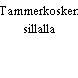 Tammerkosken sillalla