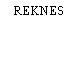 REKNES