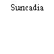 Suncadia