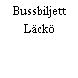 Bussbiljett Läckö