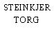 STEINKJER TORG