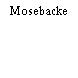 Mosebacke