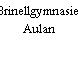 Brinellgymnasiet Aulan