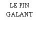 LE PIN GALANT