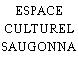 ESPACE CULTUREL SAUGONNA