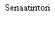 Senaatintori