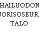 HAILUODON NUORISOSEURAN TALO
