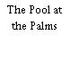 The Pool at the Palms