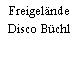 Freigelände Disco Büchl