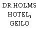 DR HOLMS HOTEL, GEILO