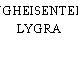 LYNGHEISENTERET, LYGRA