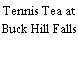 Tennis Tea at Buck Hill Falls