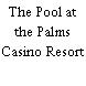 The Pool at the Palms Casino Resort