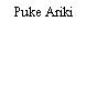 Puke Ariki