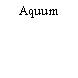 Aquum