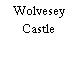 Wolvesey Castle