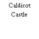 Caldicot Castle