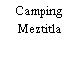 Camping Meztitla