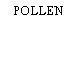 POLLEN