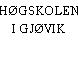 HØGSKOLEN I GJØVIK