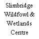 Slimbridge Wildfowl & Wetlands Centre