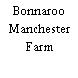 Bonnaroo Manchester Farm