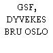 GSF, DYVEKES BRU OSLO