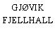 GJØVIK FJELLHALL