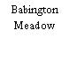 Babington Meadow