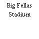 Big Fellas Stadium