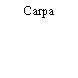 Carpa